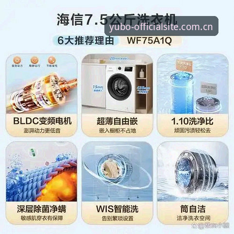 宇博官方平台 宇博官方平台全面解析:从技术架构到用户体验的深度评测